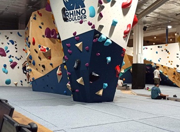 Rhino Boulder in Bromley